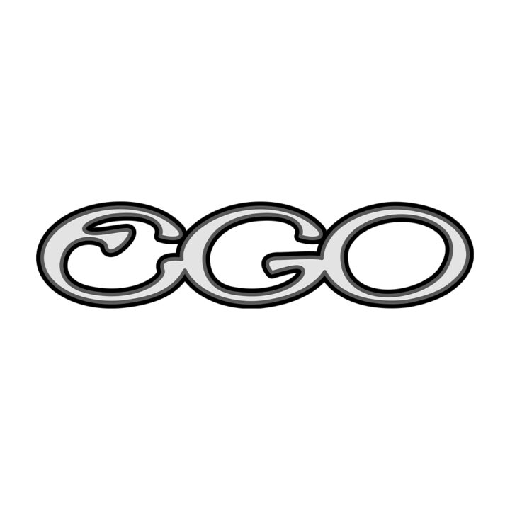 EGO Guitarの画像